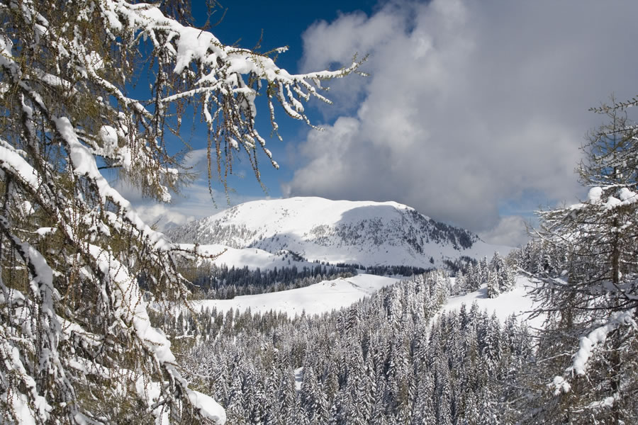Ojstrnik (Oisternig / M. Osternig)