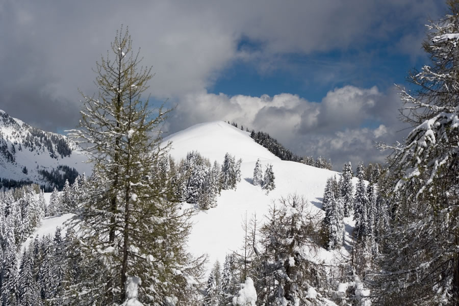 Zahomec (Monte Acomizza / Sch�nwipfel)