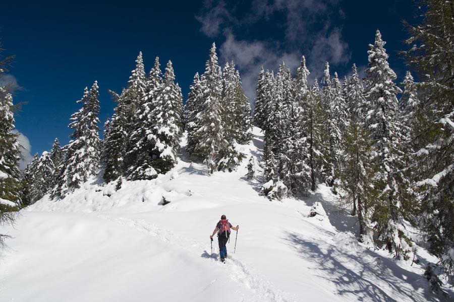 Proti Zahomcu (Monte Acomizza / Sch�nwipfel)