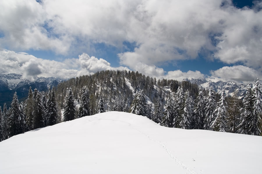 Mulejev vrh (Cima Muli)