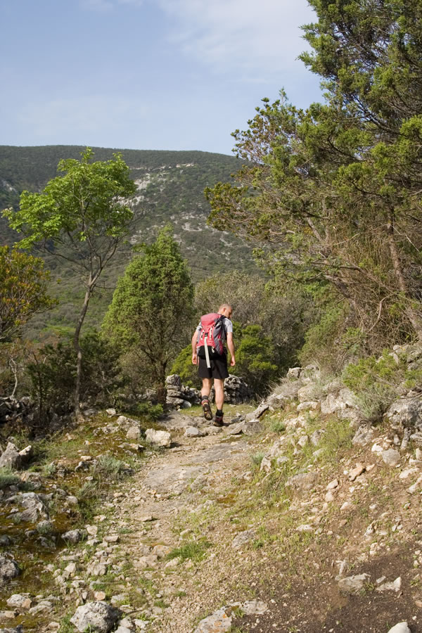 Proti Koči Sv. Gaudent
