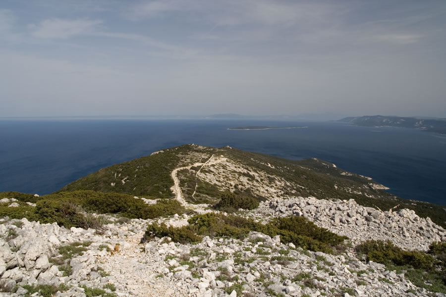 Križica