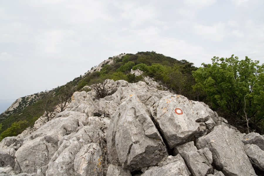 Sestopni greben