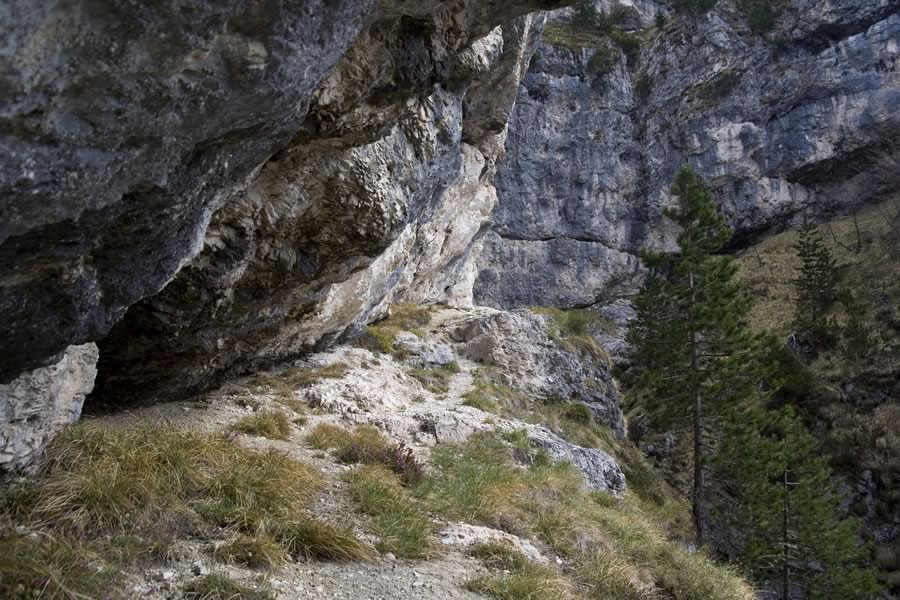 Polica na poti proti M. Pisimoni