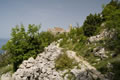 Lubenice