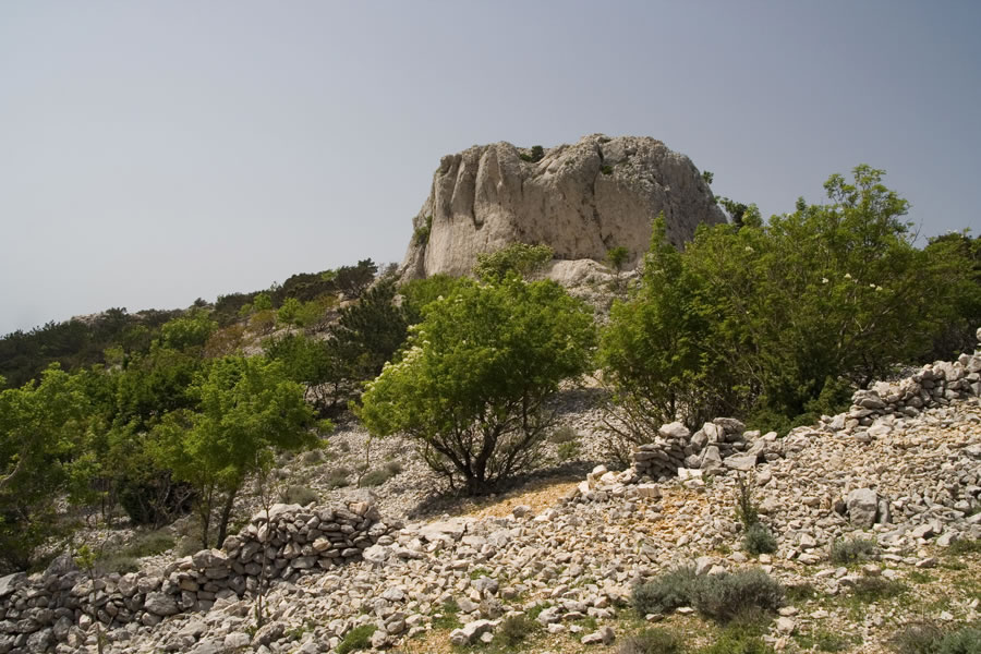 Nad potjo