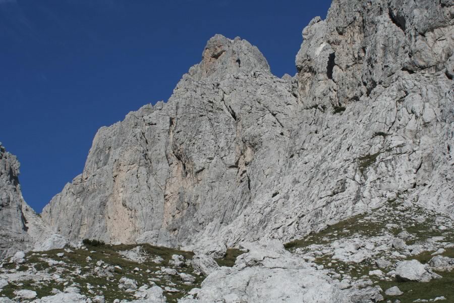 Krniška špica