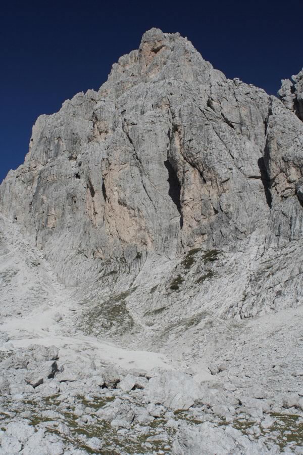 Krniška špica