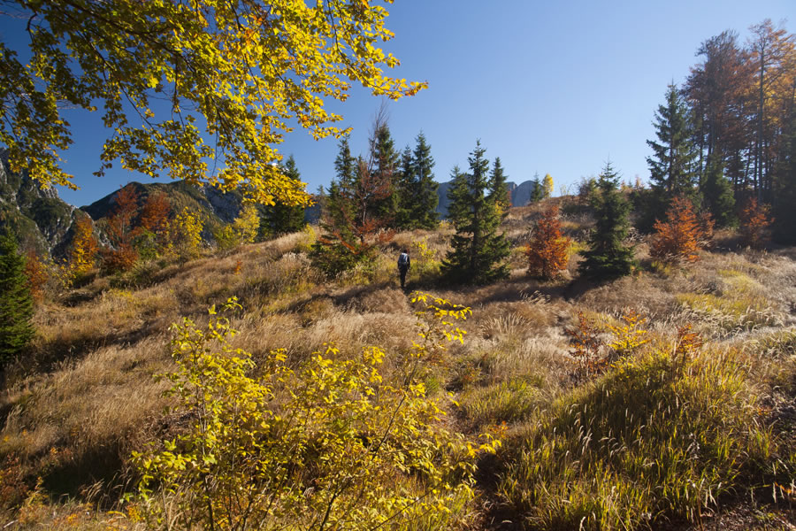 Mala Kraljevska špica
