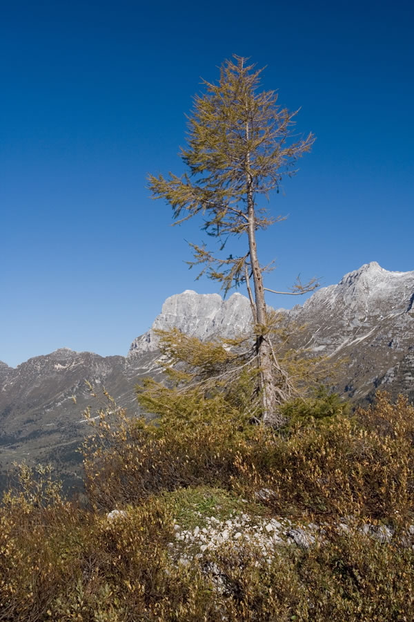 Montaž