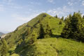 Slatnik