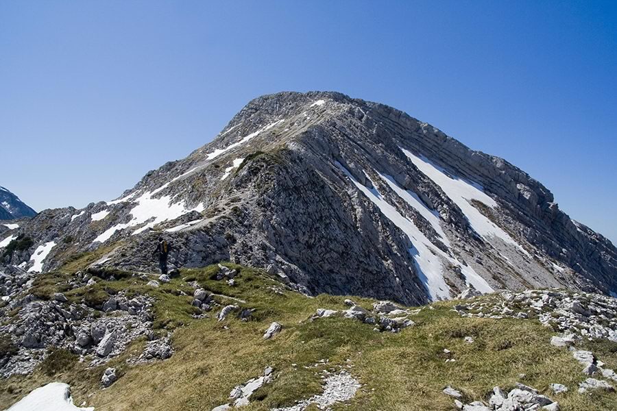 Mahavšček