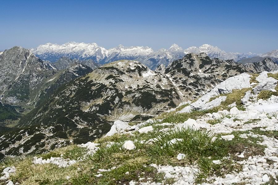 Kaninsko pogorje, Zahodni Julijci