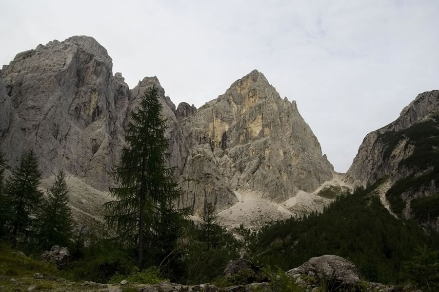 Divja koza, Mala špica, Turn, Gamsova mati, Viš in Nabojs