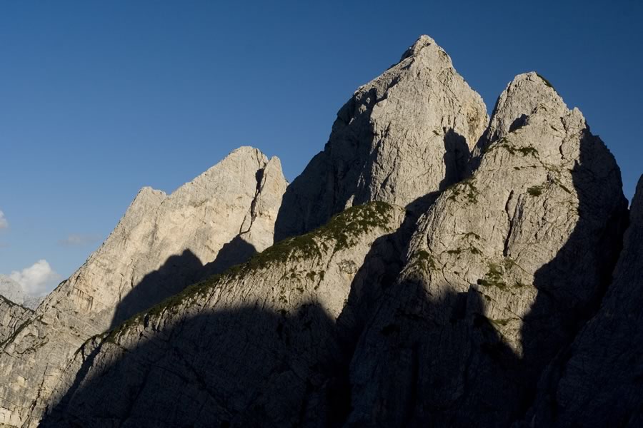 Lojtrica, Trbiška Krniška špica