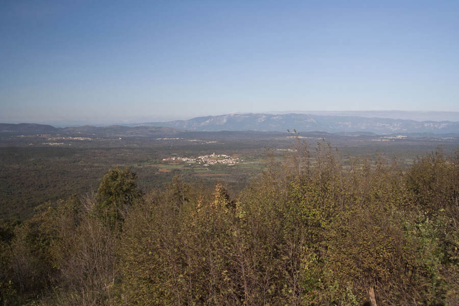 Kras, Trnovski gozd