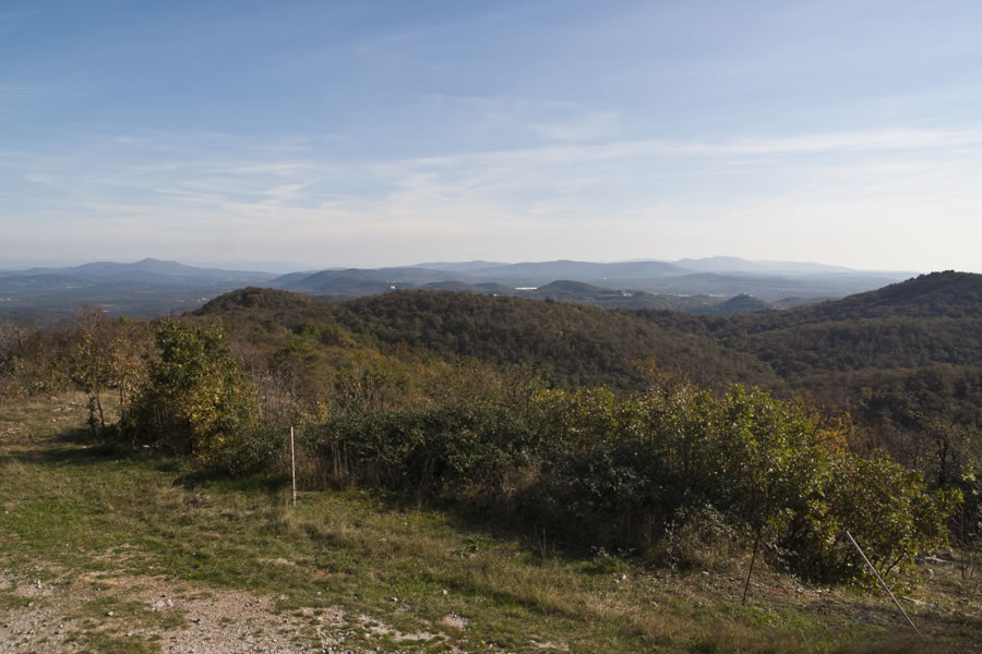 Vremščica, Brkini, Slavnik