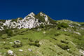 Proti vrhu
