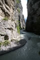 Aareschlucht