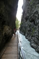 Aareschlucht