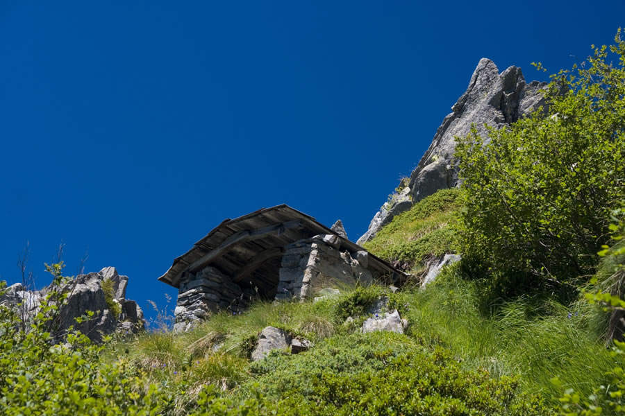 Zavetišče ob poti