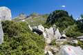 Marmontana, Cima di Cugn