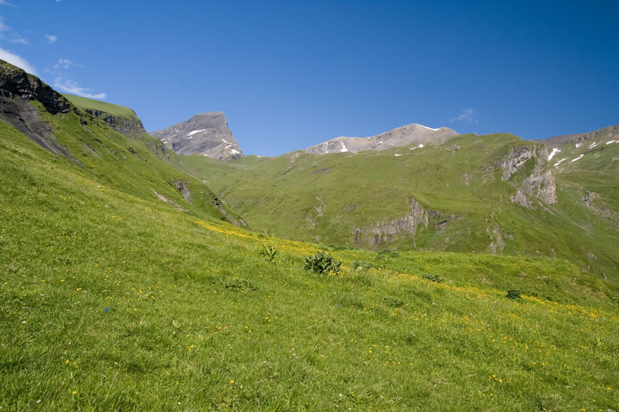 Schwarzhorn, Schwarzenberg