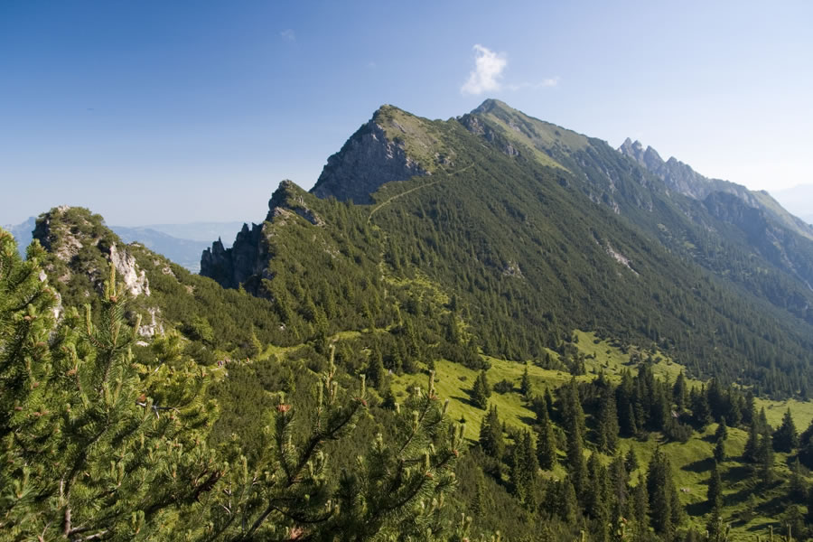 Gafleispitz, Kuegrat