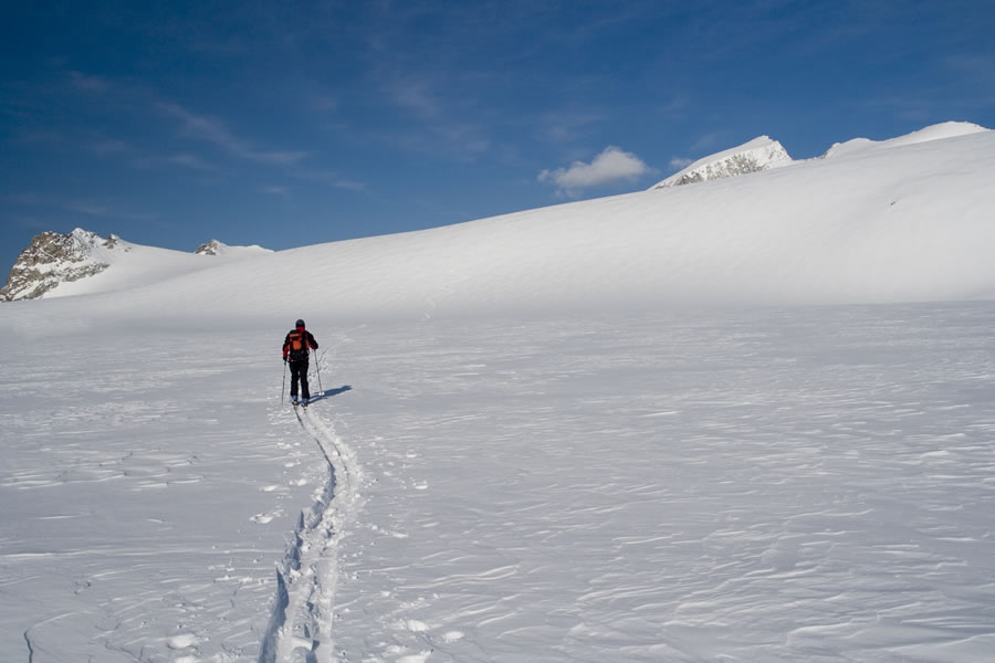 Proti Monte Adamello