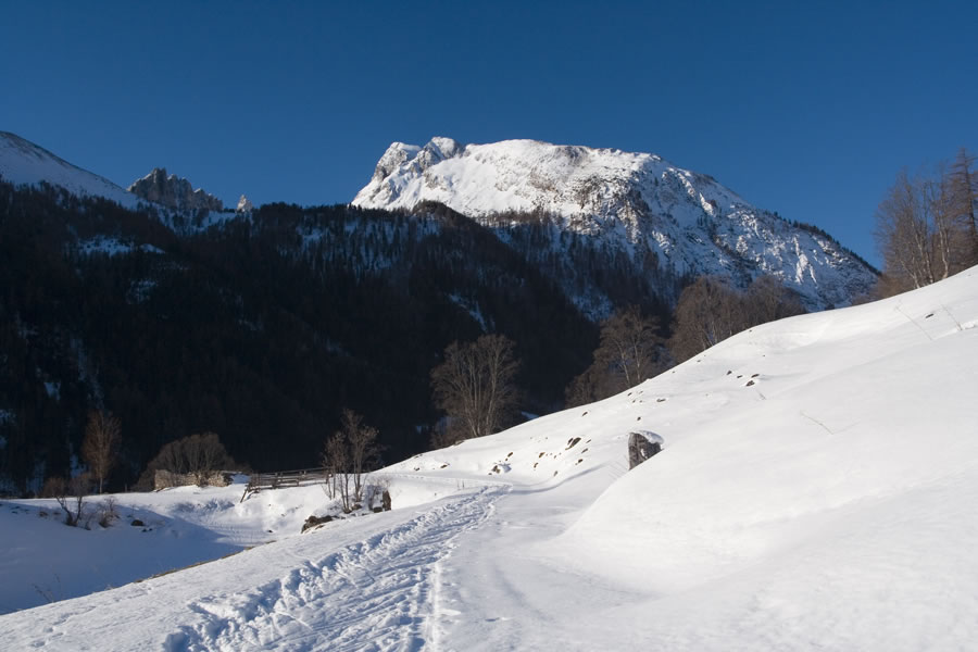 Felskarspitze, Barnleitenkopf