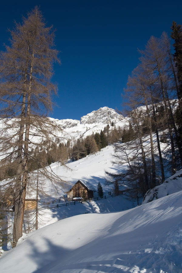 Permuthwand