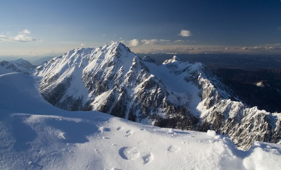 Vrtača