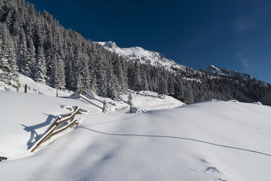 M. Carnizza (Garnitzenberg) s planine