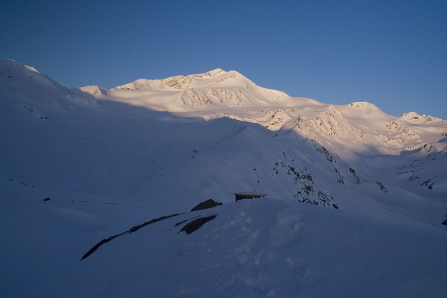 Cima Cevedale (Zufallspitzen)