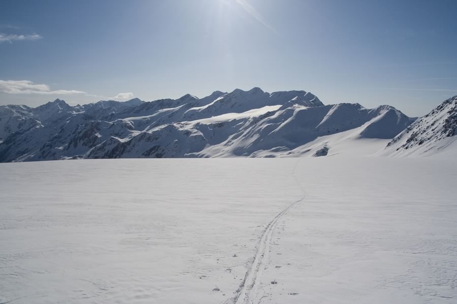 Vedretta del Cevedale (Zufallferner)