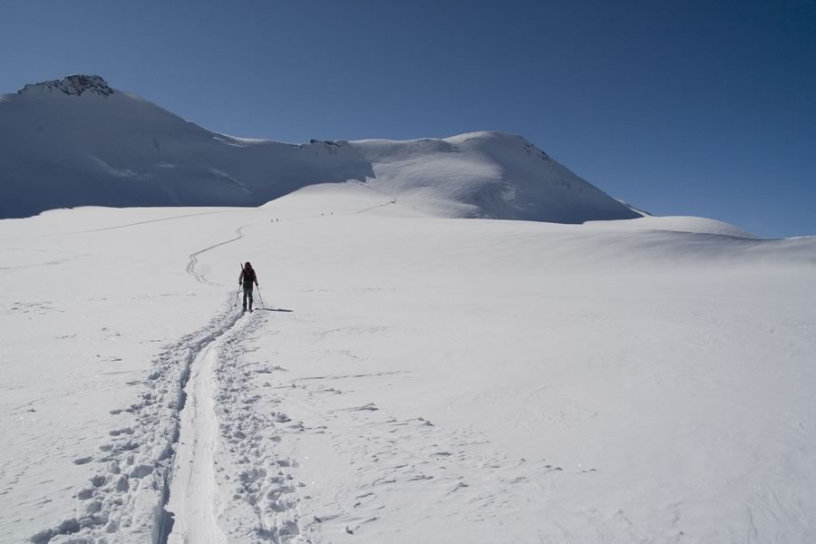 Cima Cevedale (Zufallspitzen) in Monte Cevedale