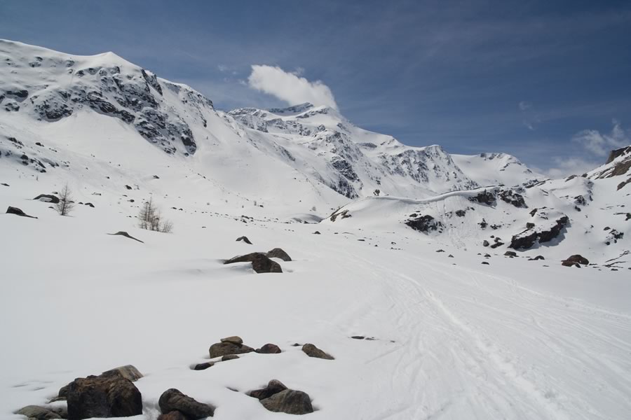 Cima Cevedale (Zufallspitzen)