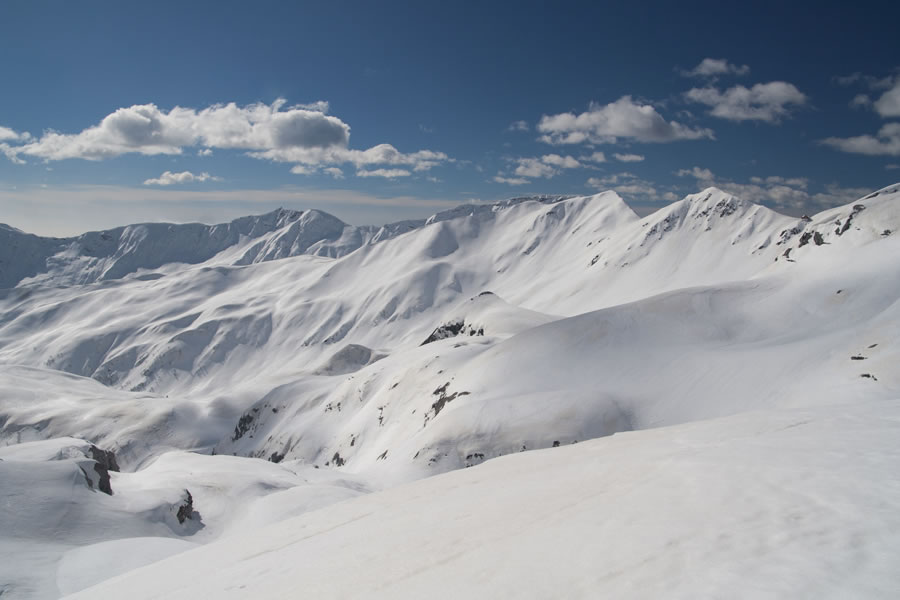 Monte Floriz in Monte Crostis