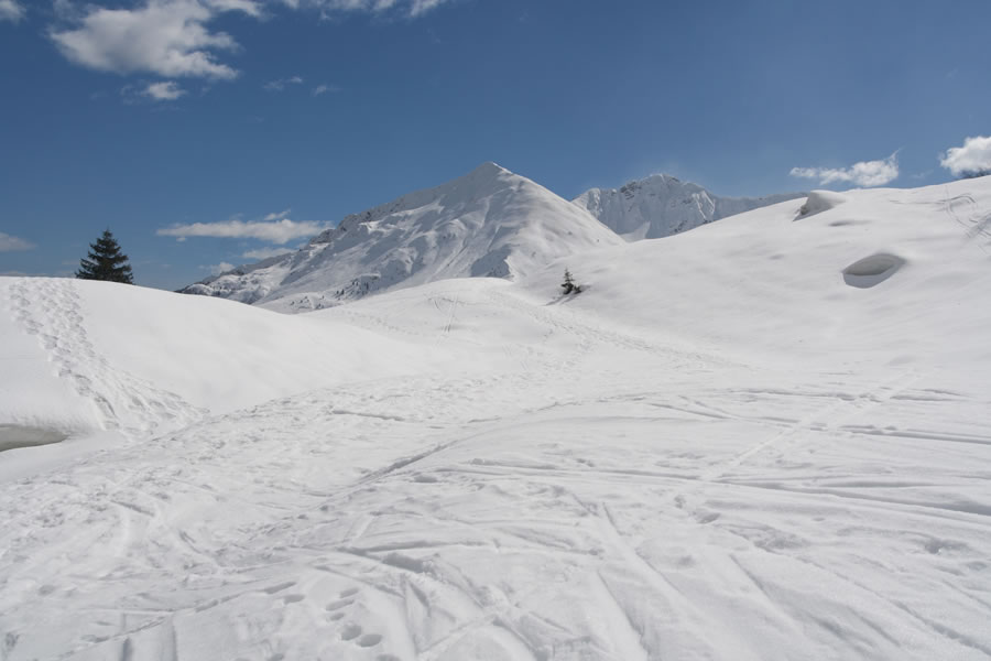 Monte Terzo