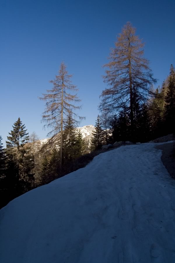 Proti planini