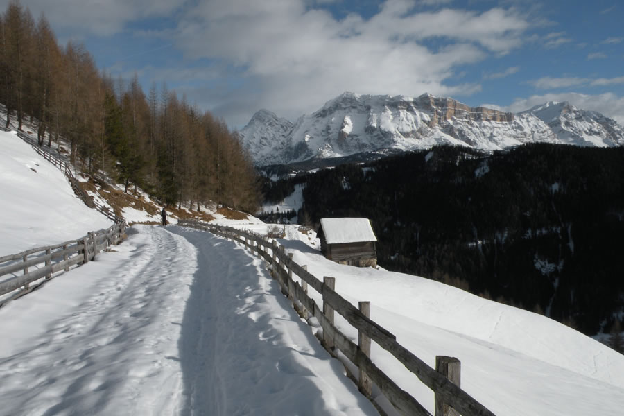 Dolomiti Fanes - Senes - Braies (Fanes  - Senes - Prags)