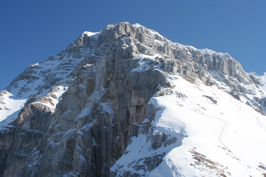 Curtissons, zadaj Montaž