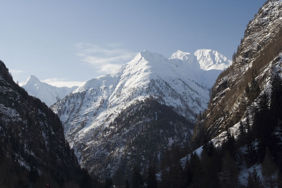 Las�rling, Toinig Kogel, Kriselach Sp.