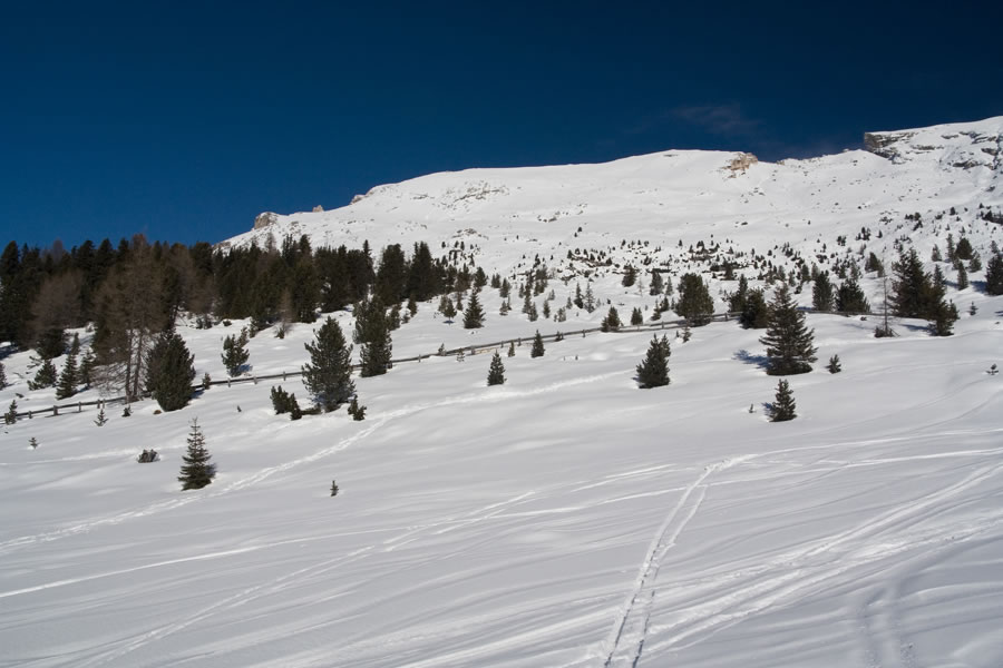 Picco di Vallandro (D�rrenstein)