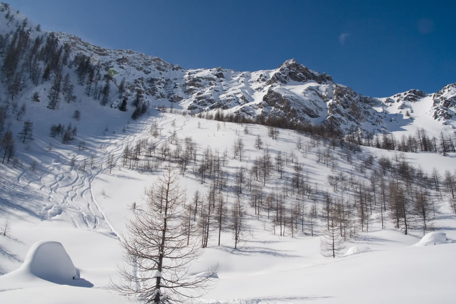 Pobočje pod Monte Freidom