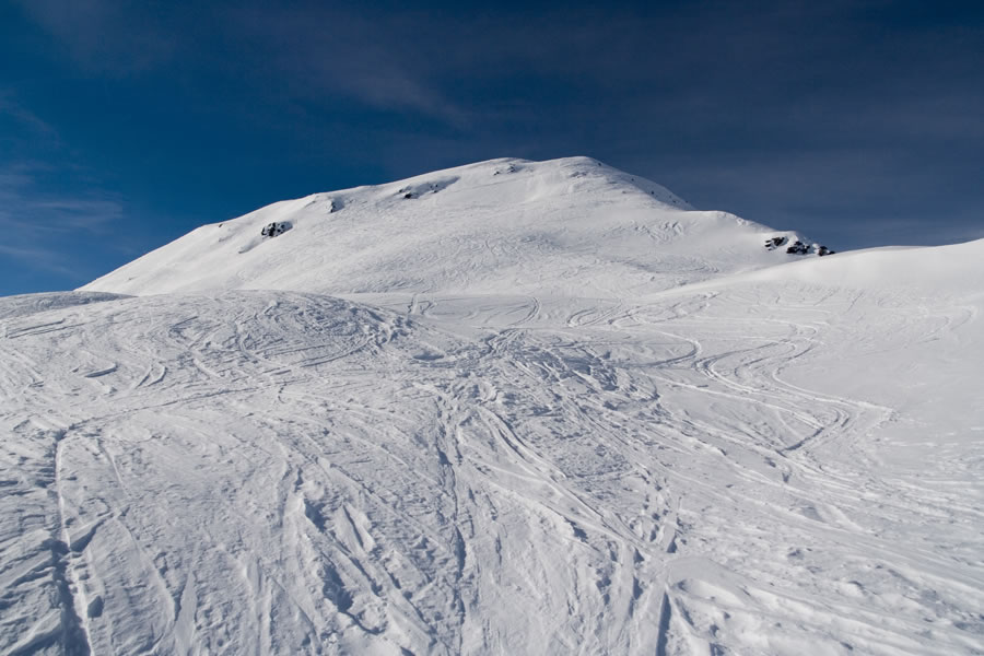 P�rglerskunke