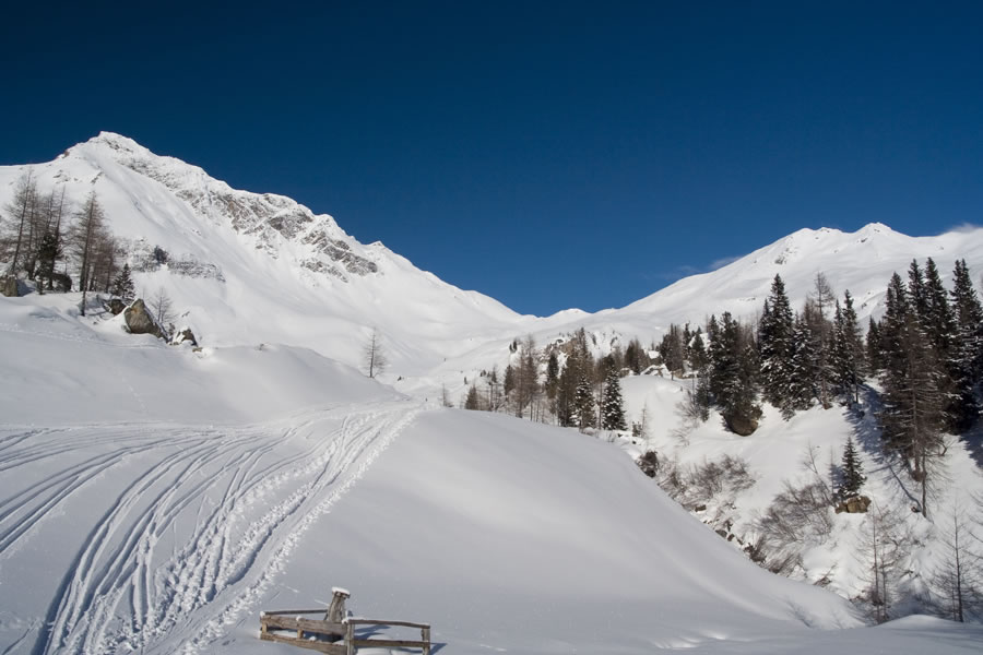 Vorderer Gesselkopf in Greilkopf