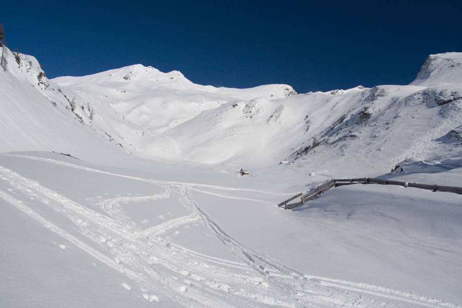 Greilkopf in Ebeneck
