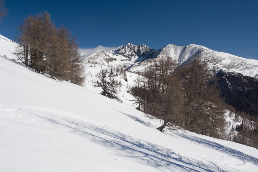 Roteck, Golzh�he, zadaj Preber