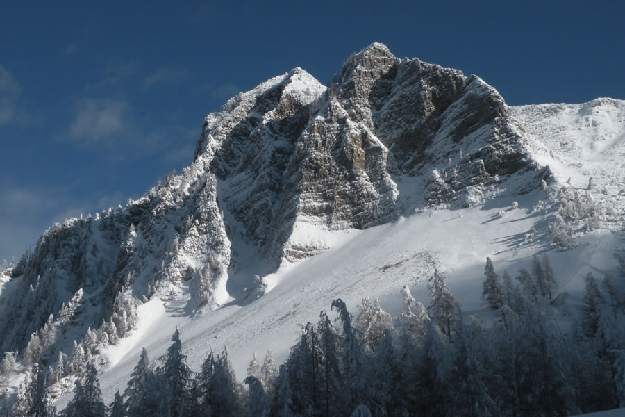 Pacient za najljubšo, žal ukinjeno nagradno igro. Kako jih poznamo?